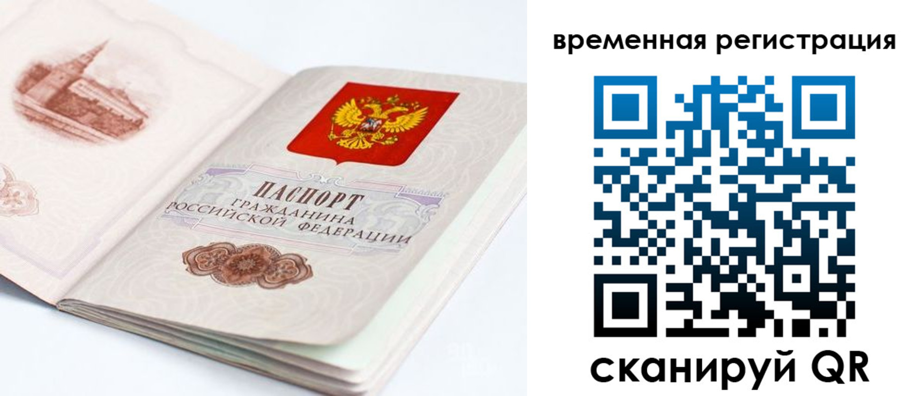купить прописку в Ногинске